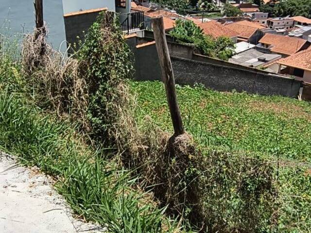 Terreno para Venda em São Lourenço - 5