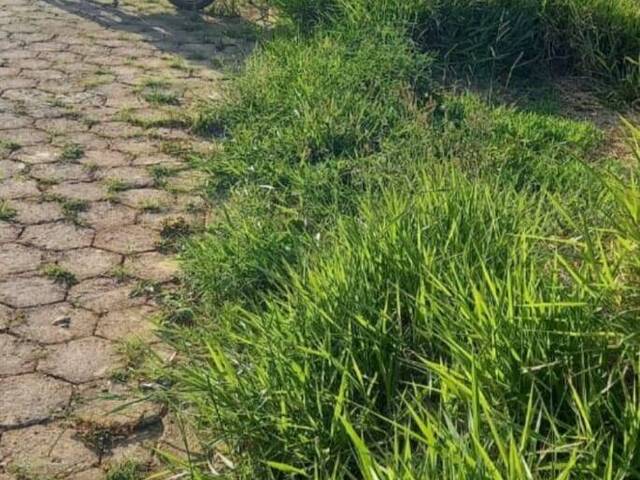 Área para Venda em Carmo de Minas - 5