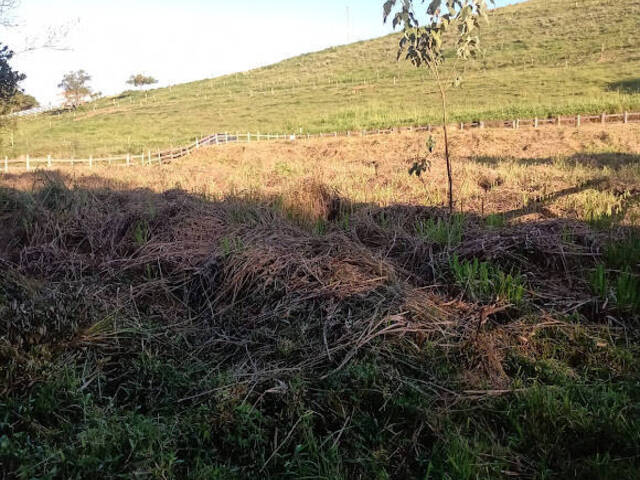 Venda em ZONA RURAL - Carmo de Minas