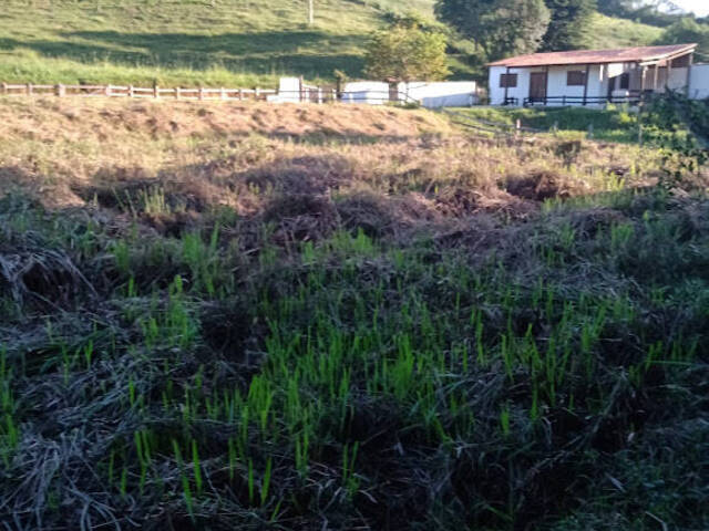 Área para Venda em Carmo de Minas - 4